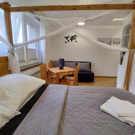 נובי סאוז' Apartament Pod Zamkiem מראה חיצוני תמונה